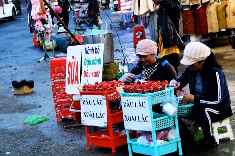 Những góc nhỏ sưởi ấm đêm Đà Lạt ảnh 2