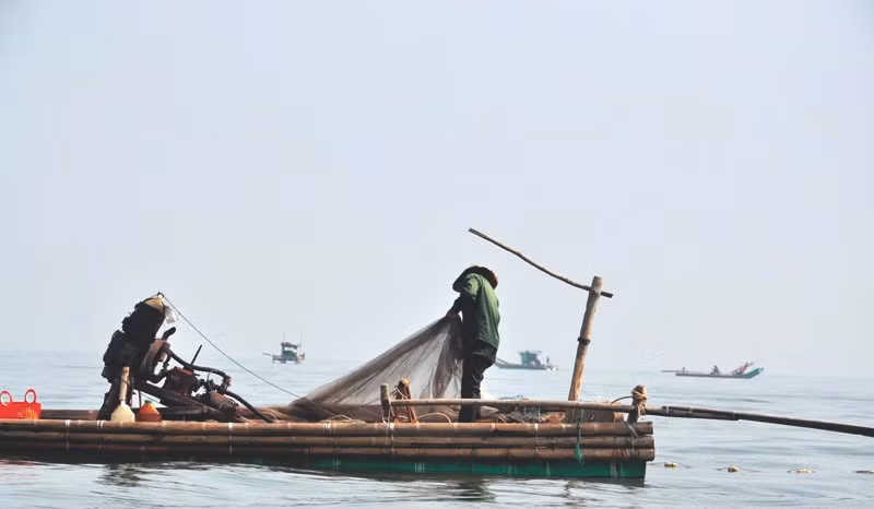 Ngư dân Thanh Hóa đánh bắt moi biển. Ảnh: Báo Thanh Hóa. Ngư dân Thanh Hóa đánh bắt moi biển. Ảnh: Báo Thanh Hóa.
