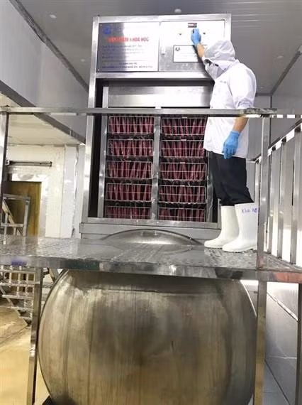 Công nghệ cấp đông nhanh giúp nâng cao chất lượng và giá trị cho cá ngừ Việt Nam. Công nghệ cấp đông nhanh giúp nâng cao chất lượng và giá trị cho cá ngừ Việt Nam.