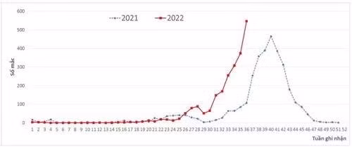 Biểu đồ phân bố số ca mắc/nghi mắc sốt xuất huyết theo tuần, năm 2021- 2022 ở Hà Nội. Ảnh: CDC Hà Nội.