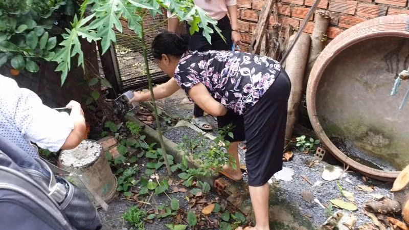 Dọn dẹp môi trường sống là cách tốt nhất để diệt muỗi. Ảnh minh họa.