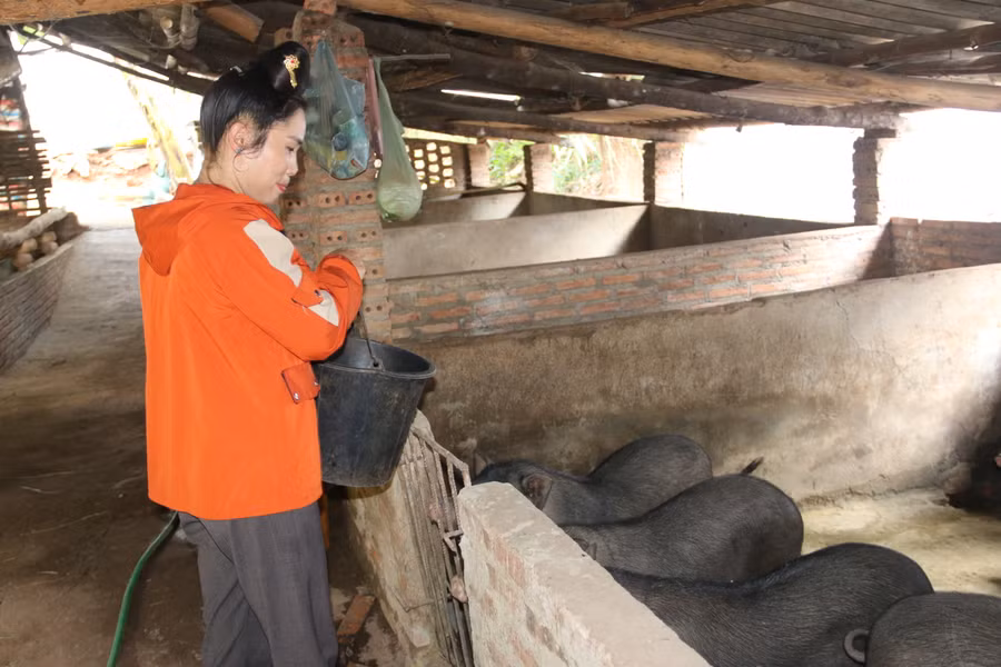 Ngoài hỗ trợ việc làm cho người dân, Phòng LĐ-TB&amp;XH Yên Châu còn giúp bà con tiếp cận vay vốn chính sách phát triển kinh tế.