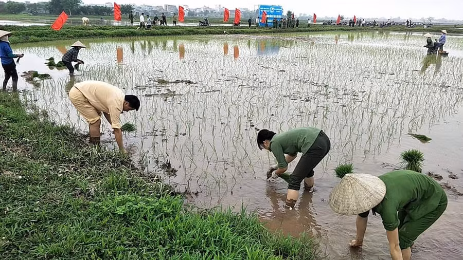 Hoạt động có ý nghĩa thiết thực của tuổi trẻ Hoạt động có ý nghĩa thiết thực của tuổi trẻ