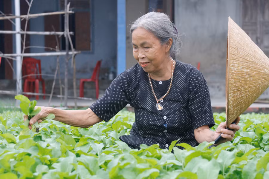 Dù cuộc sống đổi thay nhưng bà Nguyễn Thị Tý vẫn không thể quên khoảng thời gian vì đói mà phải theo làng đi xin ăn.