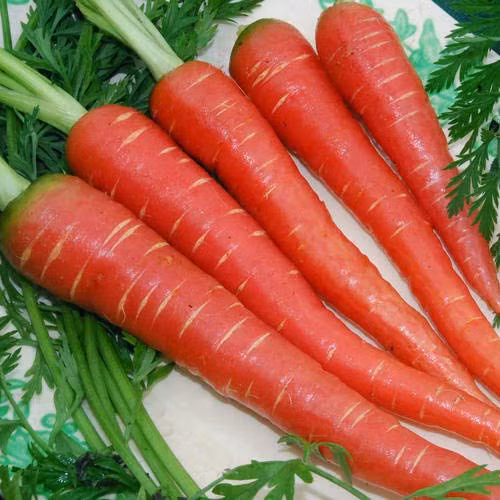 Cà rốt 7 sắc cầu vồng, càng ăn càng bổ - 3