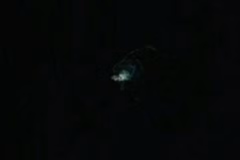 Phát hiện UFO phát sáng ngoài bờ biển Nam Cực. Ảnh The Mirror