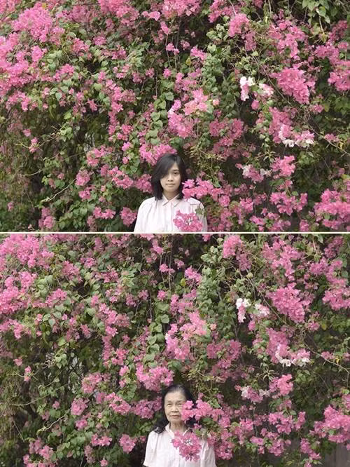 bo anh 