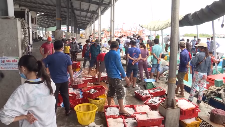 Cảng cá Sông Đốc, huyện Trần Văn Thời (Cà Mau).