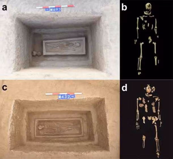 Hai bộ xương có chân bị chặt cụt được phát hiện ở Hà Nam. Ảnh: Ancient-origins.net