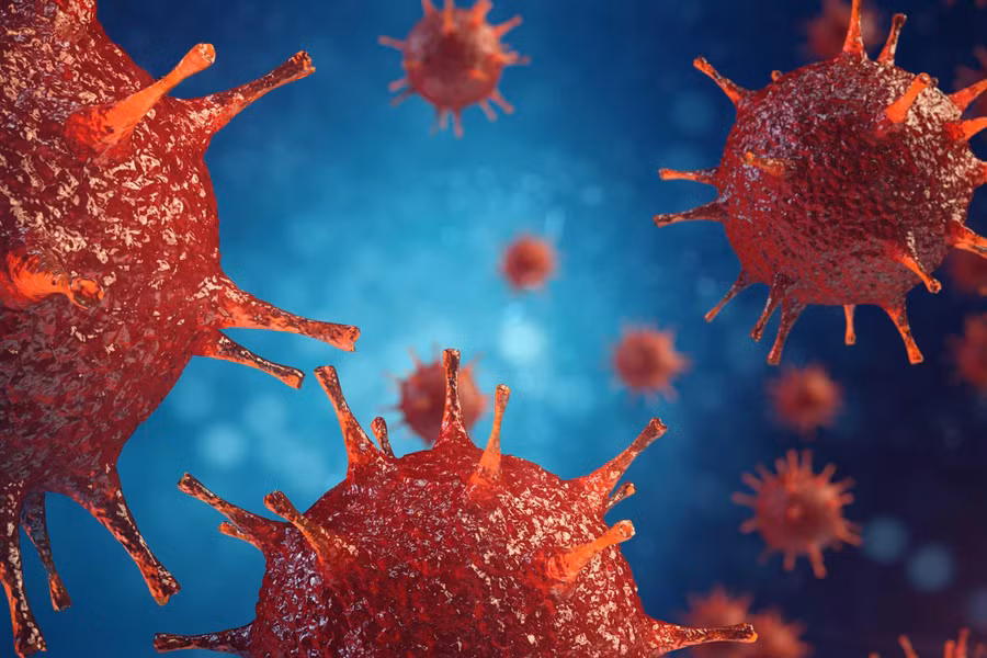 Người mắc bệnh tiểu đường loại 1 có nguy cơ nhiễm Enterovirus cao gấp 8 lần.