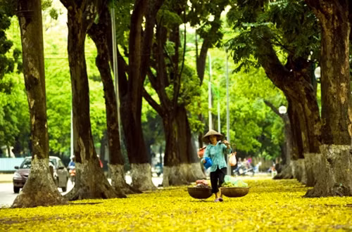 Lung linh vẻ đẹp bình yên của mùa thu Hà Nội - Ảnh 2