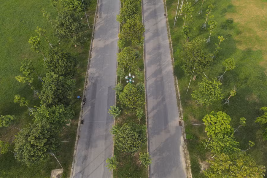 Tại Công viên Trung tâm TP Hà Tĩnh từ những bãi cỏ hoang dại, nay đã dần hình thành nên những rừng cây tỏa bóng mát, tạo không khí trong lành.