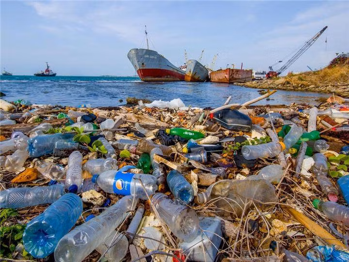 Năm 2025, số lượng nhựa không thể xử lý và bị thải vào đại dương có thể đạt mức 1 tấn nhựa/3 tấn cá.