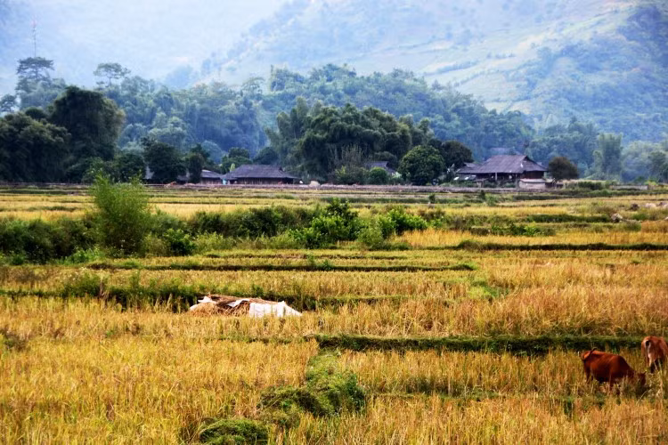 Một ngày Tú Lệ