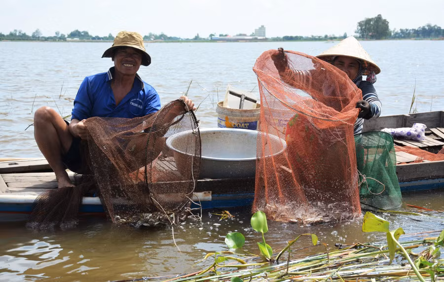 Nhờ nước lũ, nhiều hộ ở vùng lũ có thu nhập khá nhờ khai thác thủy sản.