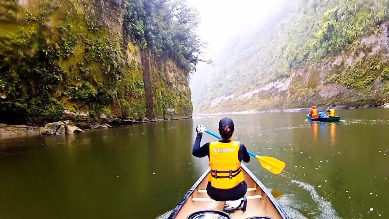 Sông Whanganui, tiên phong ROR.