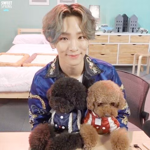 Ngắm bộ sưu tập thú cưng đình đám của loạt idol Kpop ảnh 7 Ngắm bộ sưu tập thú cưng đình đám của loạt idol Kpop ảnh 7