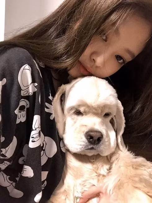 Ngắm bộ sưu tập thú cưng đình đám của loạt idol Kpop ảnh 6 Ngắm bộ sưu tập thú cưng đình đám của loạt idol Kpop ảnh 6