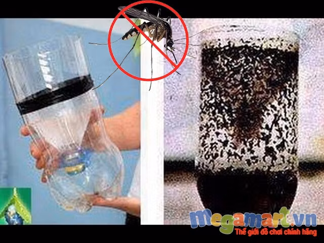 Mẹo làm bẫy bắt hết sạch muỗi trong nhà đơn giản, hiệu quả - Ảnh 3
