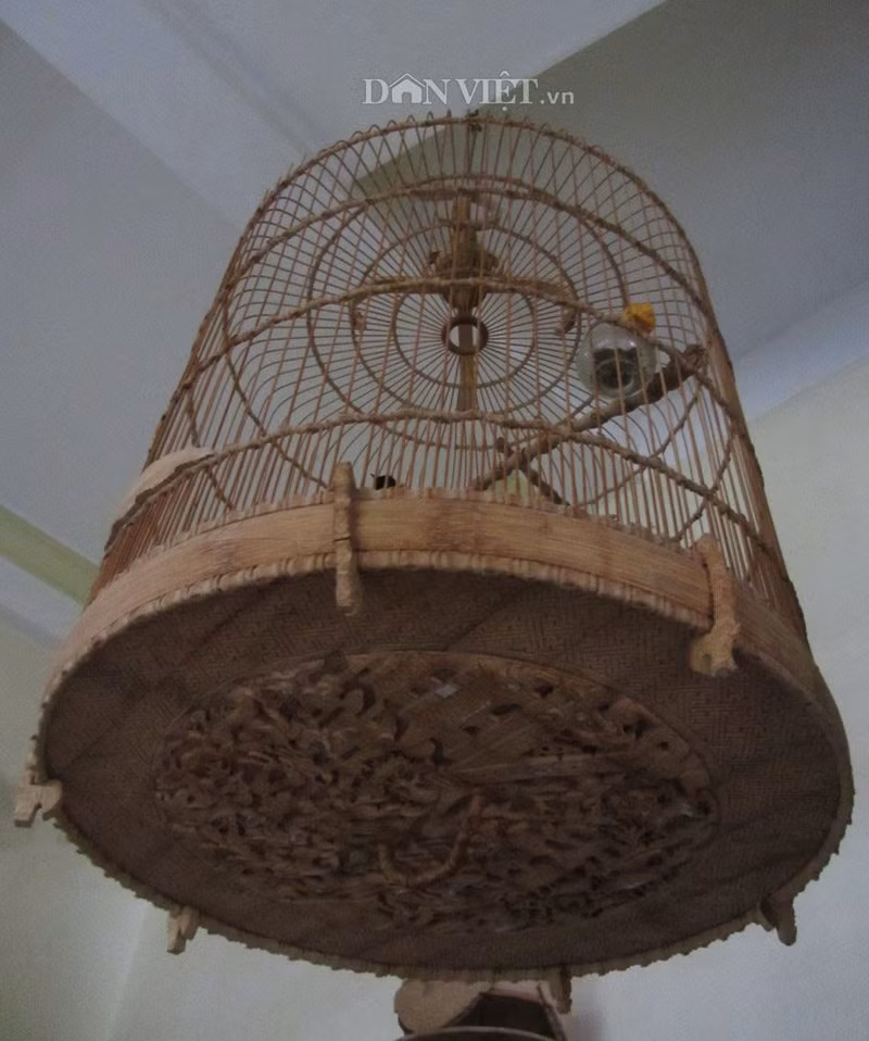 ngam nhung chiec long chim gia “ngan do” o co do hue hinh anh 6