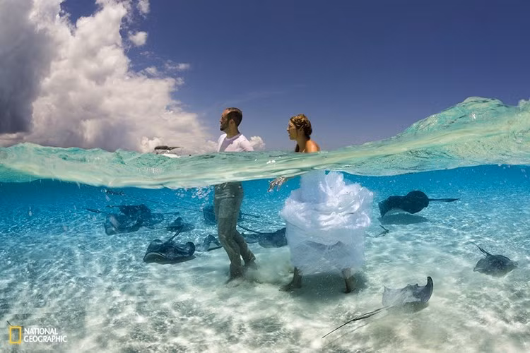 10 buc anh dep nhat cuoc thi anh cua national geographic hinh 5