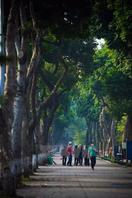 Pho phuong Ha Noi vang lang trong nhung ngay cuoi nam - Anh 11