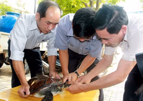 Chi tien mua rua phong sinh, bat duoc rua quy cung phong sinh - Anh 4