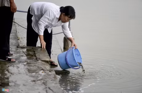 Chi tien mua rua phong sinh, bat duoc rua quy cung phong sinh - Anh 5