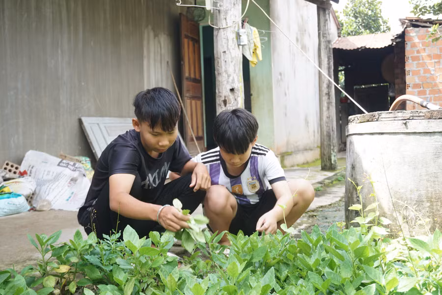 Ngoài giờ lên lớp, Trung và Thắng làm công việc nhà để đỡ đần mẹ.