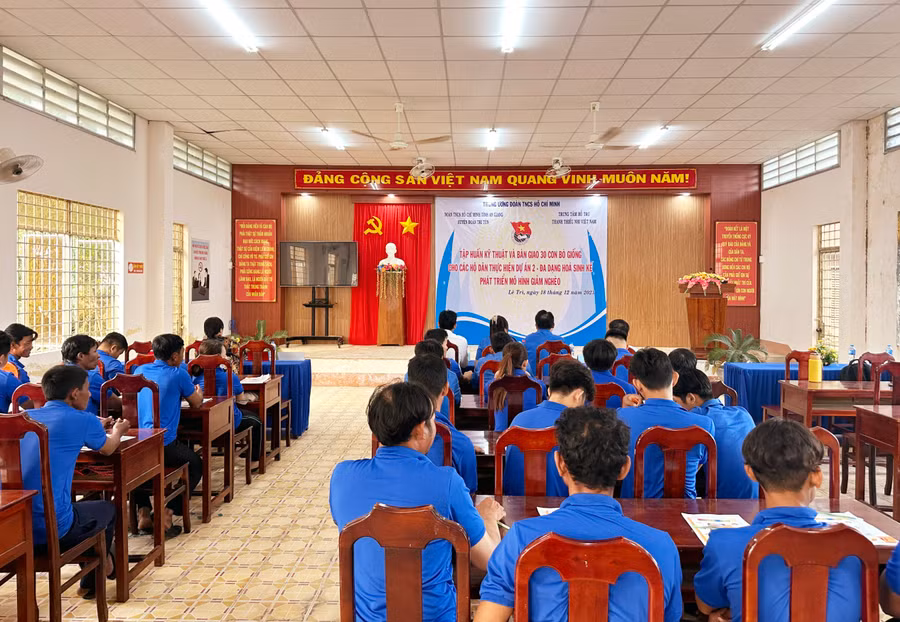 Tập huấn kỹ thuật chăn nuôi bò sinh sản.
