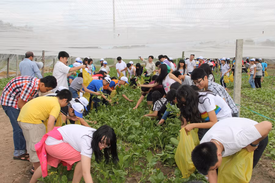 Thực địa là một trong những giải pháp giúp giáo viên hướng dẫn cho học sinh cách tự học tốt nhất