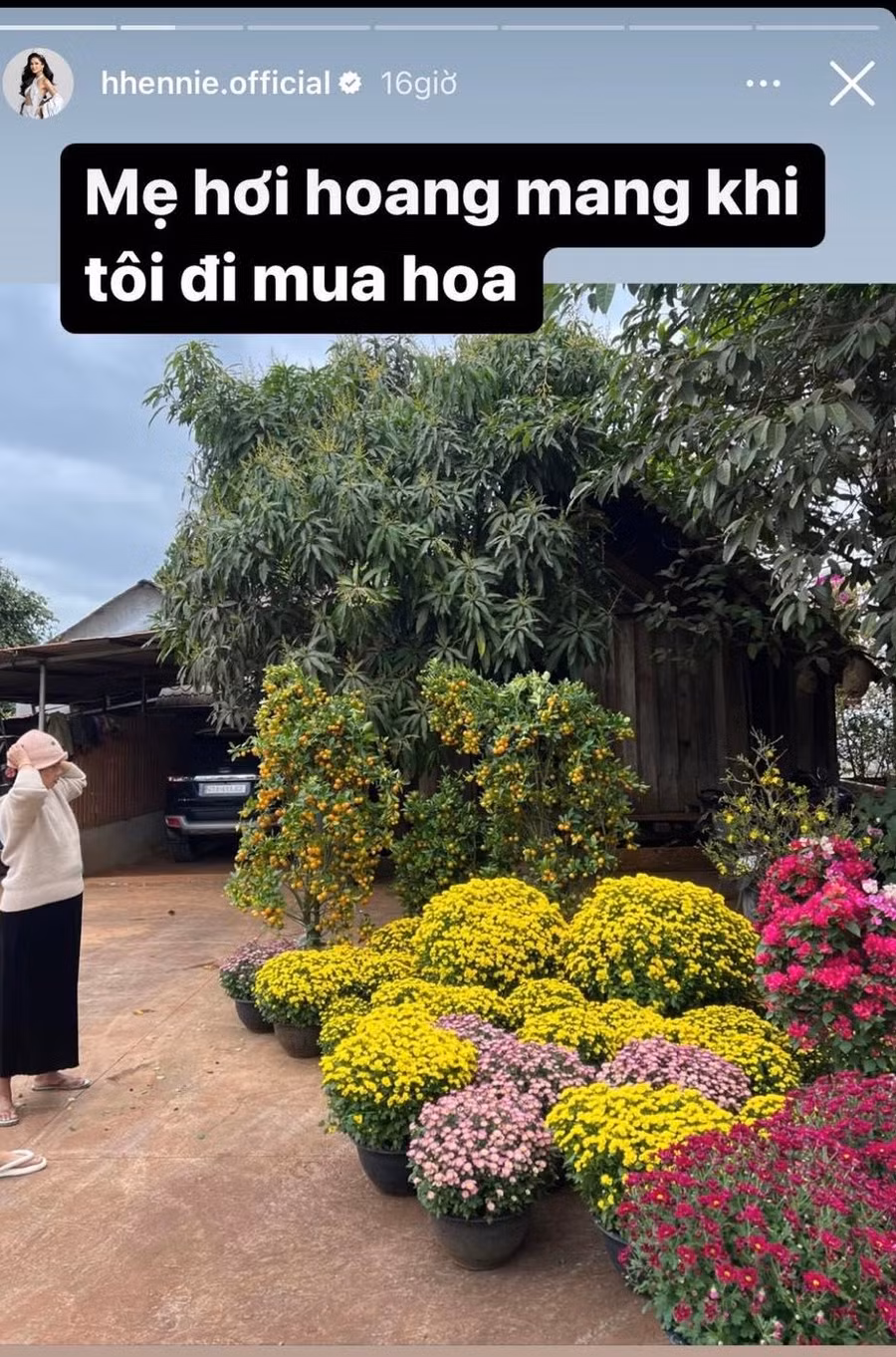 Hoa hậu H'Hen Niê về quê từ rất sớm để tự tay đi chợ hoa, lựa chọn những loại hoa ưng ý nhất để trang trí nhà cửa ngày Tết.