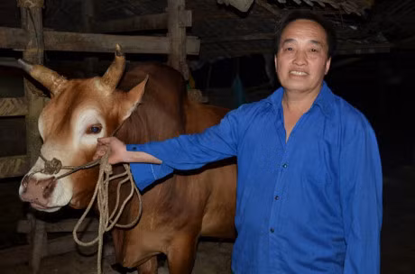 Doc dao thu choi 