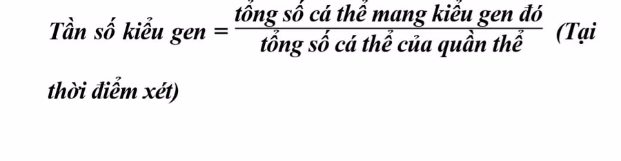  Ôn thi tốt nghiệp THPT Sinh học: Bí quyết giải bài tập Di truyền học quần thể ảnh 2