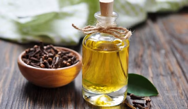 Không cần thuốc giảm đau, trị bệnh về răng chỉ cần 3 nguyên liệu này trong bếp là đủ ảnh 1 Không cần thuốc giảm đau, trị bệnh về răng chỉ cần 3 nguyên liệu này trong bếp là đủ ảnh 1