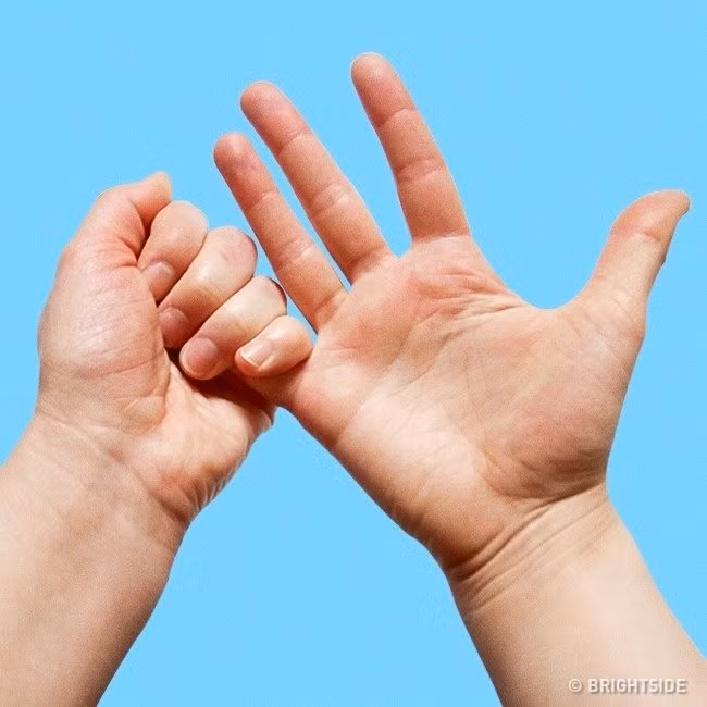 Điều kỳ diệu gì sẽ đến với cơ thể khi nắm tay theo những cách này? ảnh 5 Điều kỳ diệu gì sẽ đến với cơ thể khi nắm tay theo những cách này? ảnh 5