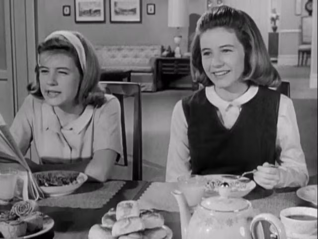  The Patty Duke Show - chương trình truyền hình nổi tiếng những năm 1963-1966. 