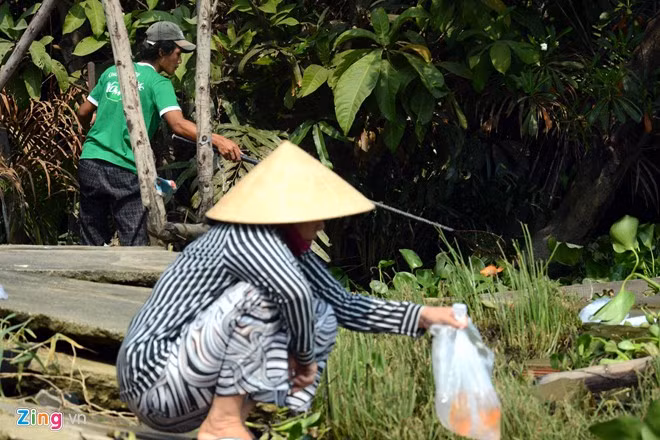 Bất lực nhìn cá chép bị chích điện khi vừa thả