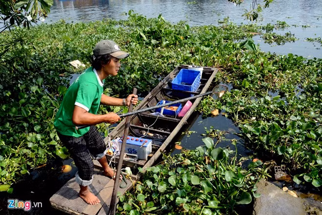 Bất lực nhìn cá chép bị chích điện khi vừa thả