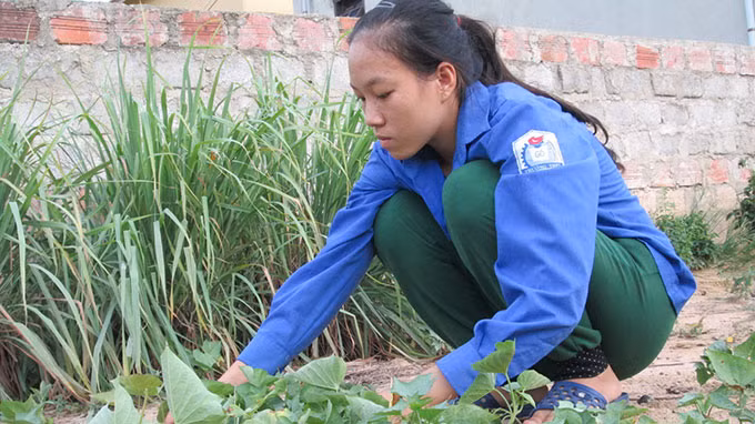 Nguyễn Thị Hải Lý chăm bón vườn. Ảnh: Lam Giang