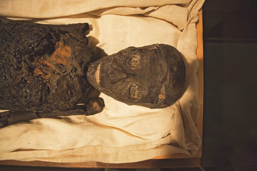 bi an kinh thien xac uop thai nhi trong lang mo tutankhamun hinh anh 4
