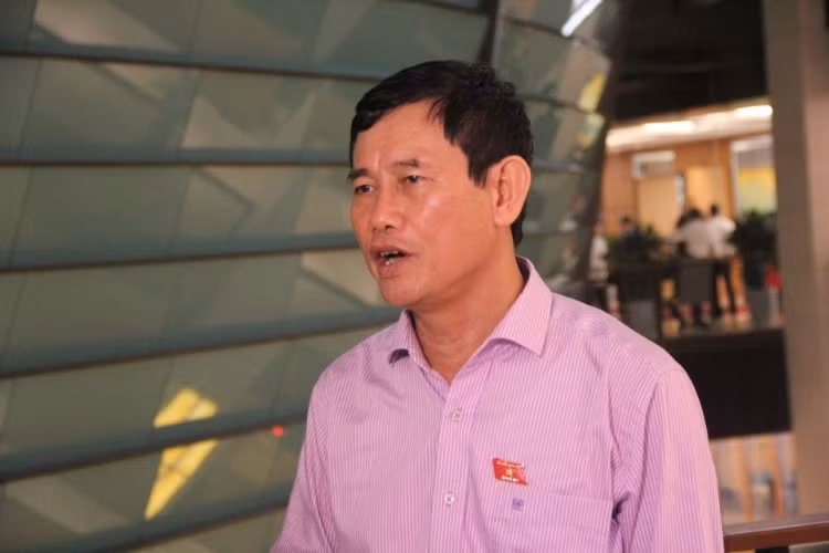 Đại biểu Quốc hội Nguyễn Ngọc Phương