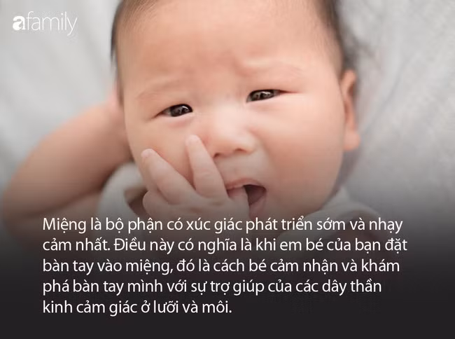 Mút tay có gây hại gì cho trẻ hay không, đây là lý giải của các chuyên gia - Ảnh 1.