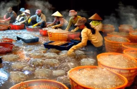 Ngu dan Thanh Hoa duoc mua 