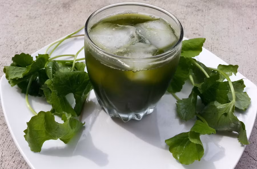 Biết được những tác dụng tuyệt vời này, mỗi ngày bạn sẽ uống một ly nước ép rau má ảnh 3