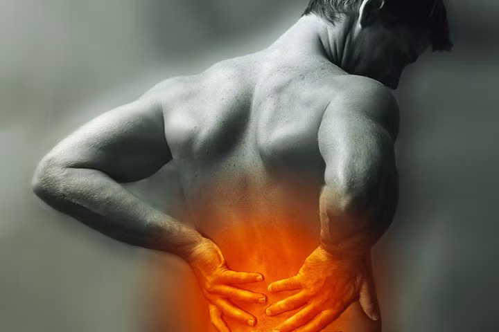 Những động tác cực tốt cho lưng