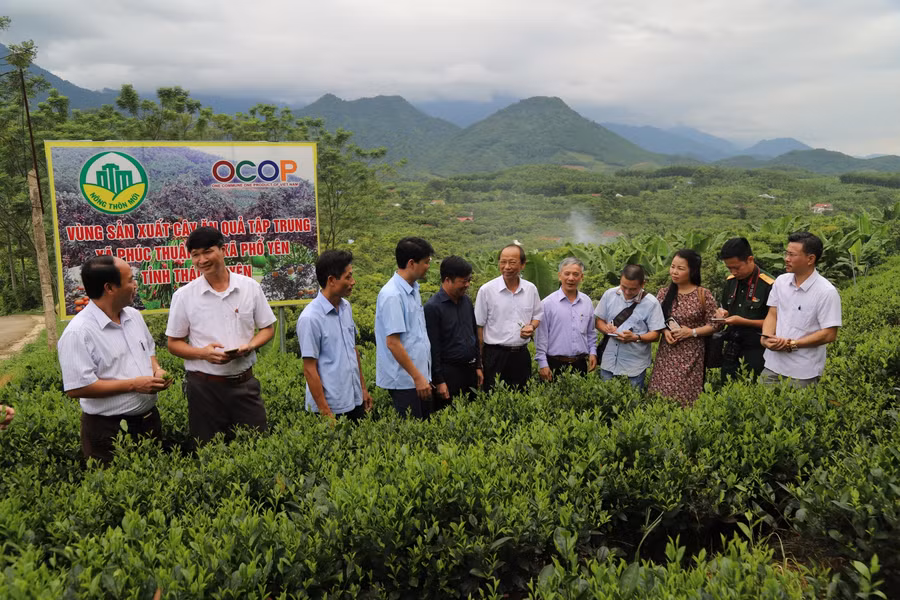 Thành công từ mô hình vườn cây ăn trái, phát triển kinh tế hộ gia đình tại xóm Khe Đù, xã Phúc Thuận, thị xã Phổ Yên