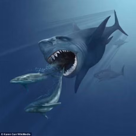 Thuy quai Megalodon tuyet chung do... qua ken an - Anh 1