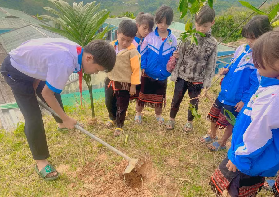 Học sinh Trường Phổ thông Dân tộc bán trú Tiểu học & THCS Trà Nam (Nam Trà My, Quảng Nam) trồng cây dược liệu tại vườn trường. Ảnh: Hà Nguyên Học sinh Trường Phổ thông Dân tộc bán trú Tiểu học & THCS Trà Nam (Nam Trà My, Quảng Nam) trồng cây dược liệu tại vườn trường. Ảnh: Hà Nguyên