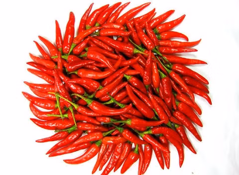 Ớt rất tốt cho hệ miễn dịch